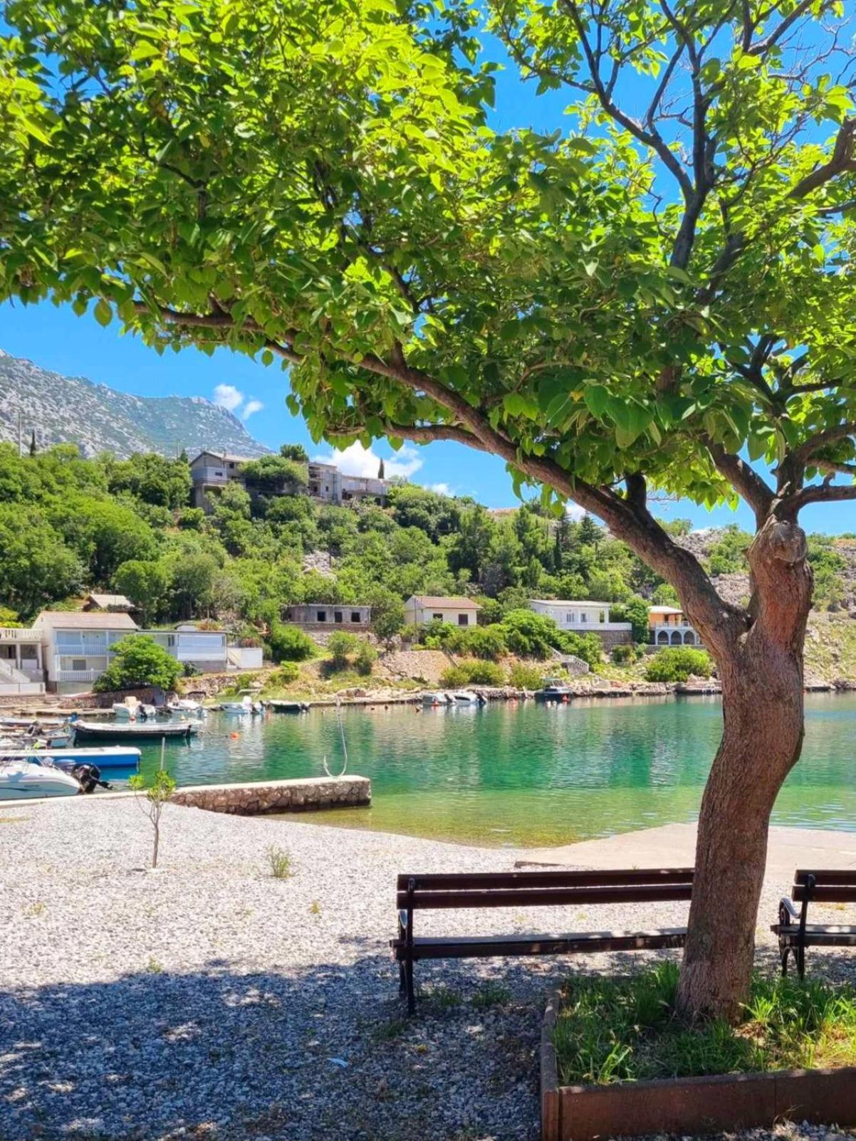 Rosemary Resort Цесариця Екстер'єр фото